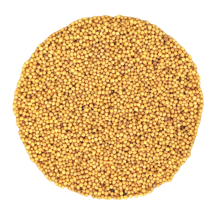 Bio Senfkörner Braun - Deutscher Anbau
