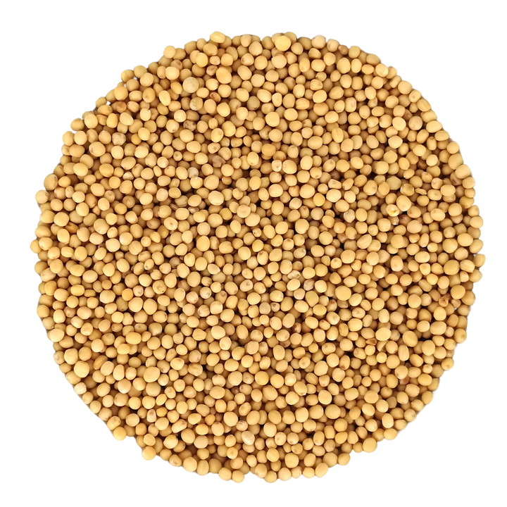 Bio Senfkörner Weiß - Deutscher Anbau
