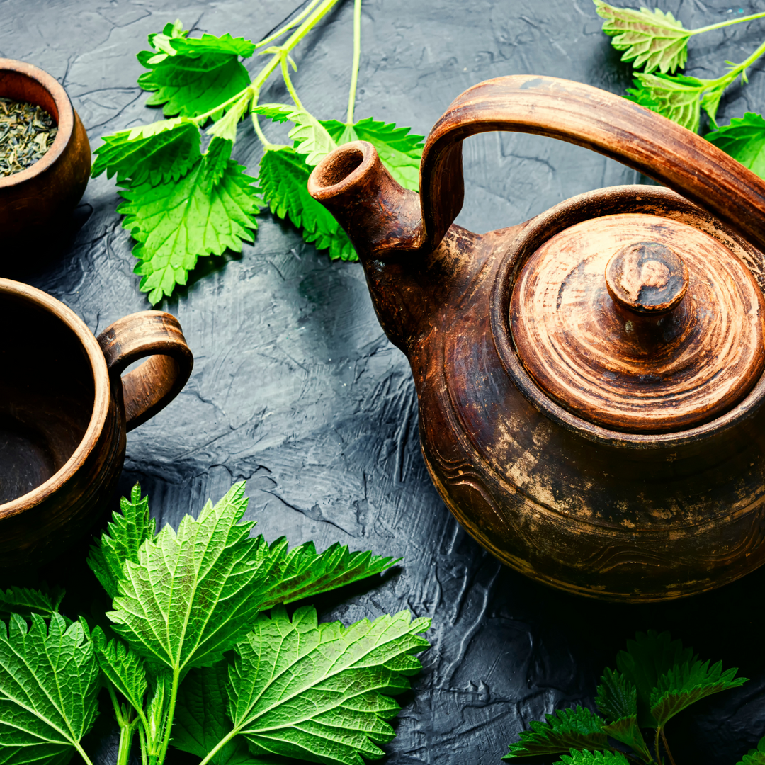 Organic Franconian nettle leaves - leaf krill
