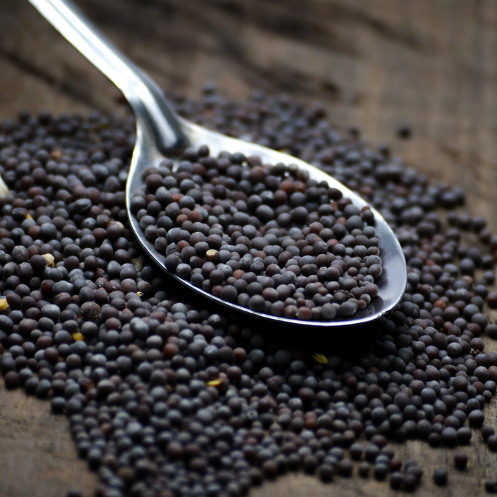 Organic black mustard seeds - German cultivation