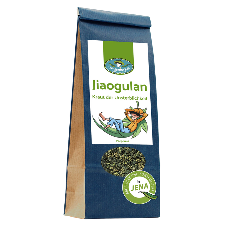 Jiaogulan - Kraut der Unsterblichkeit - gerollte Blätter