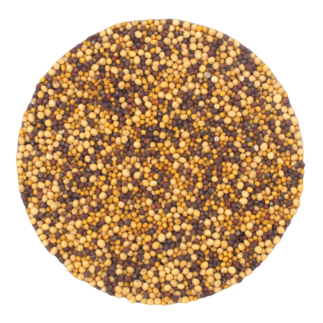Moutarde colorée bio - culture allemande