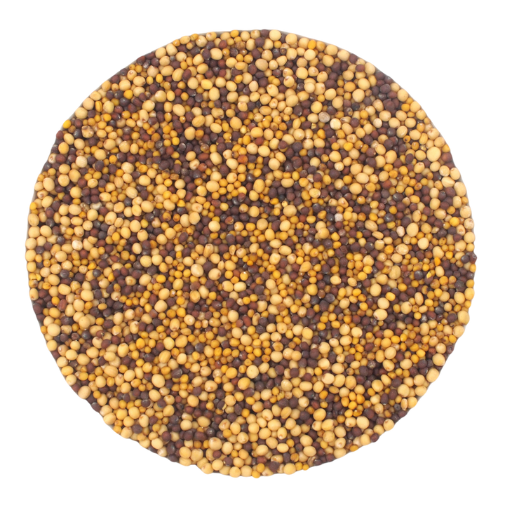 Moutarde colorée bio - culture allemande