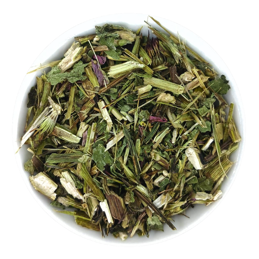 Herbe d'échinacée, coupée