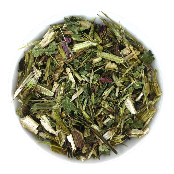 Herbe d'échinacée, coupée
