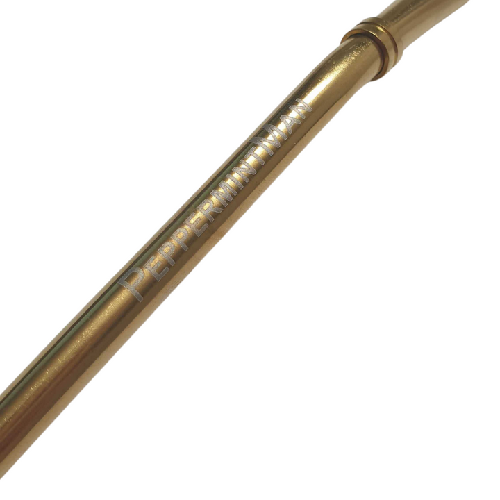 Paille à boire Bombilla avec passoire pour tous les thés en vrac, passoire à thé