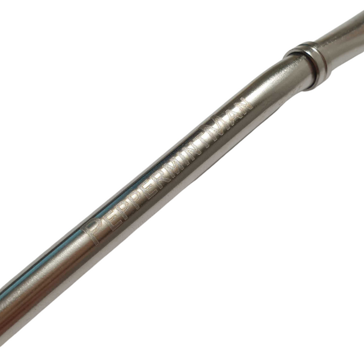 Paille à boire Bombilla avec passoire pour tous les thés en vrac, passoire à thé