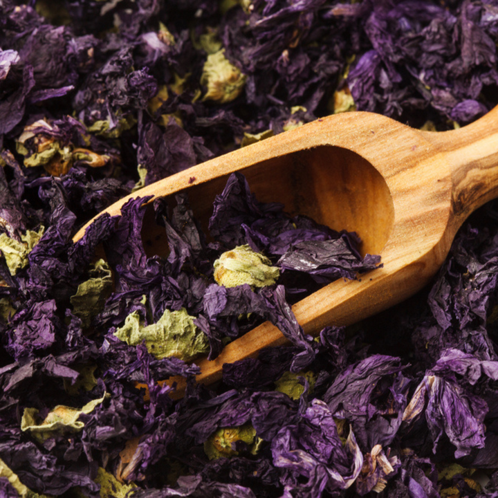 Fleurs de mauve bleue - Thé et pot-pourri