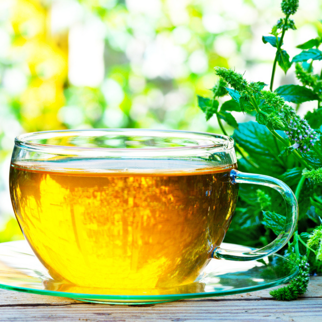 Menthe poivrée allemande biologique