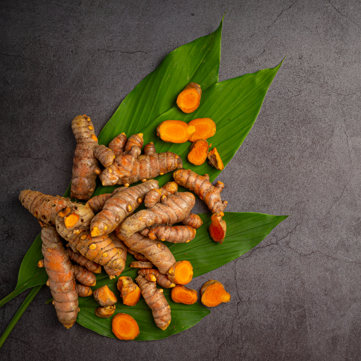 Curcuma bio