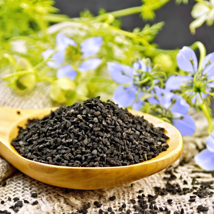 Cumin noir biologique - culture allemande