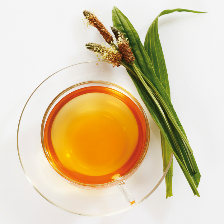 Bio Spitzwegerichkraut