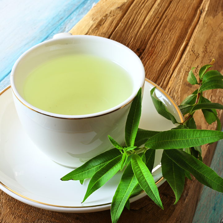 Verveine Citronnelle Bio