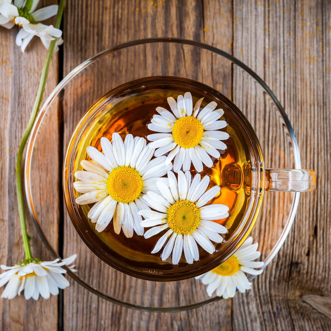 Fleurs de camomille - aromatiques - capitules