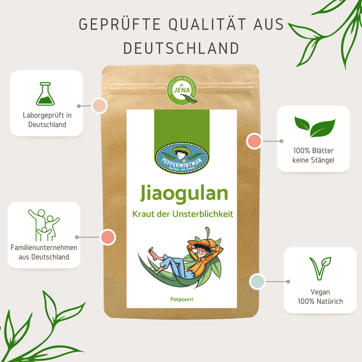 Jiaogulan - Kraut der Unsterblichkeit - gerollte Blätter