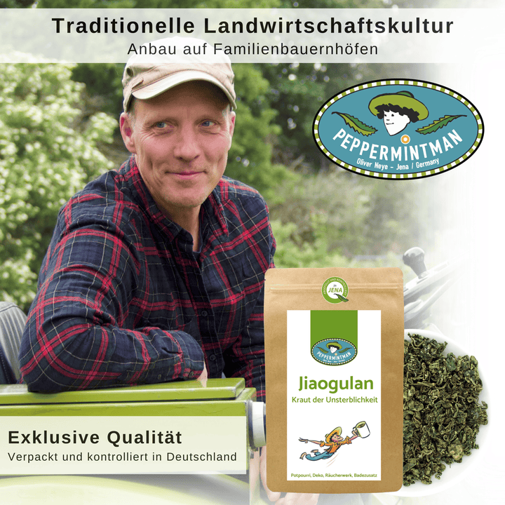 Jiaogulan - Kraut der Unsterblichkeit - gerollte Blätter
