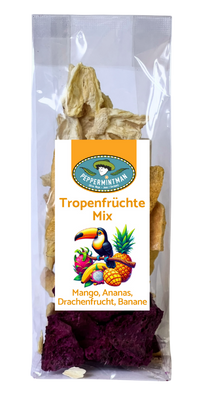 Tropenfrüchte-Mix, gefriergetrocknet, Mango, Ananas, Drachenfrucht, Banane, 100 % natürlich